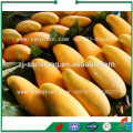 China Litchi Mango Fruit Classifier Grading Machine